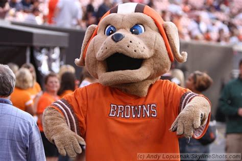 The Cleveland Browns' mascot: more than just a furry face